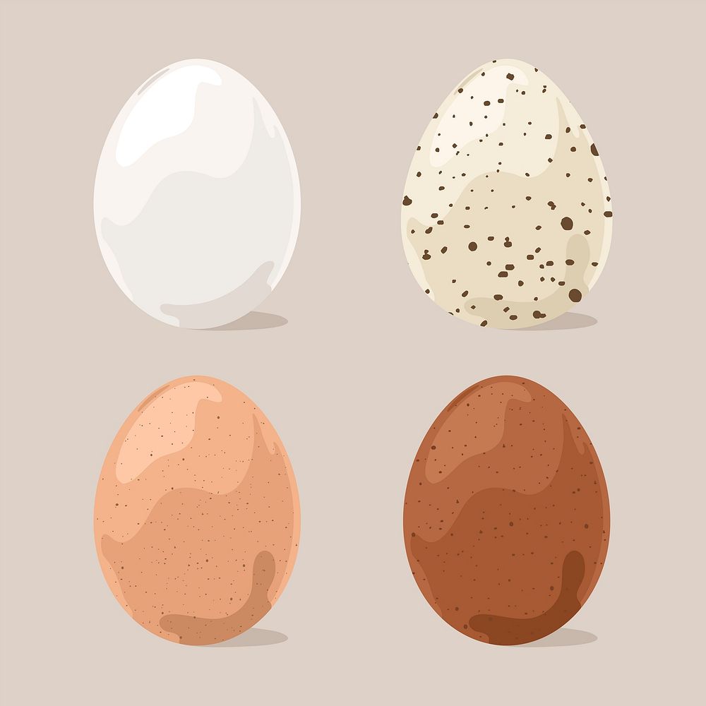 Eggs cliparts, food illustration design set vector