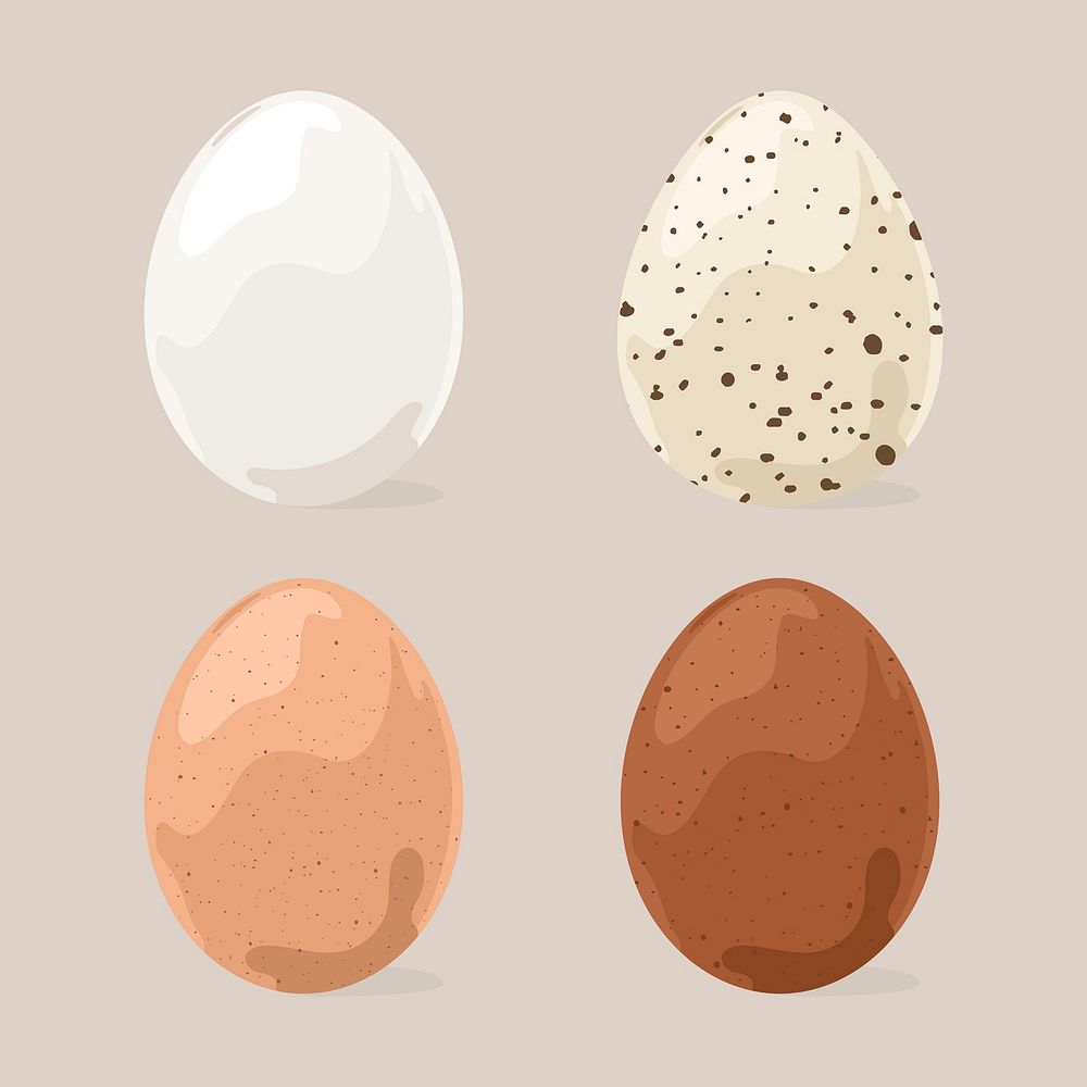 Eggs cliparts, food illustration design set psd