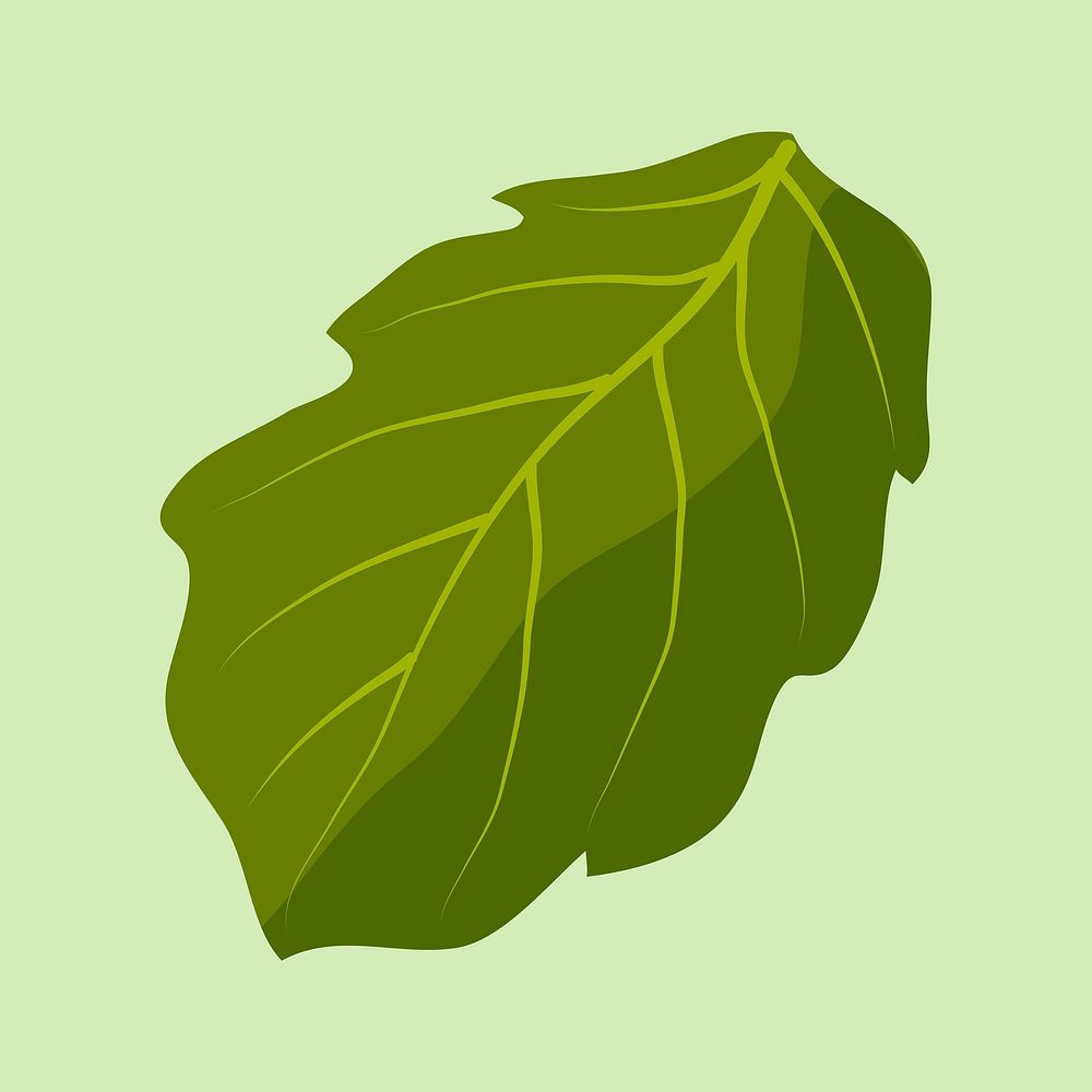Leaf clipart, realistic botanical illustration design