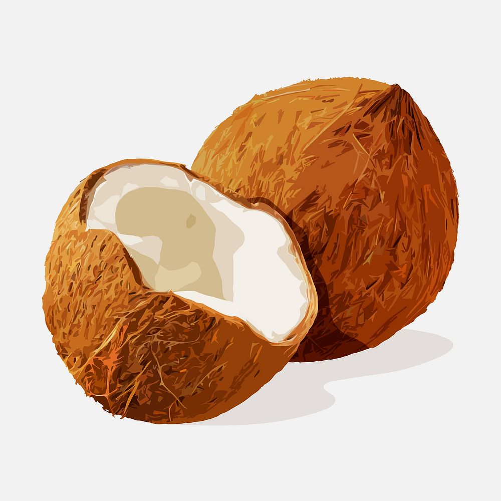 Coconut clipart, fruit illustration design psd