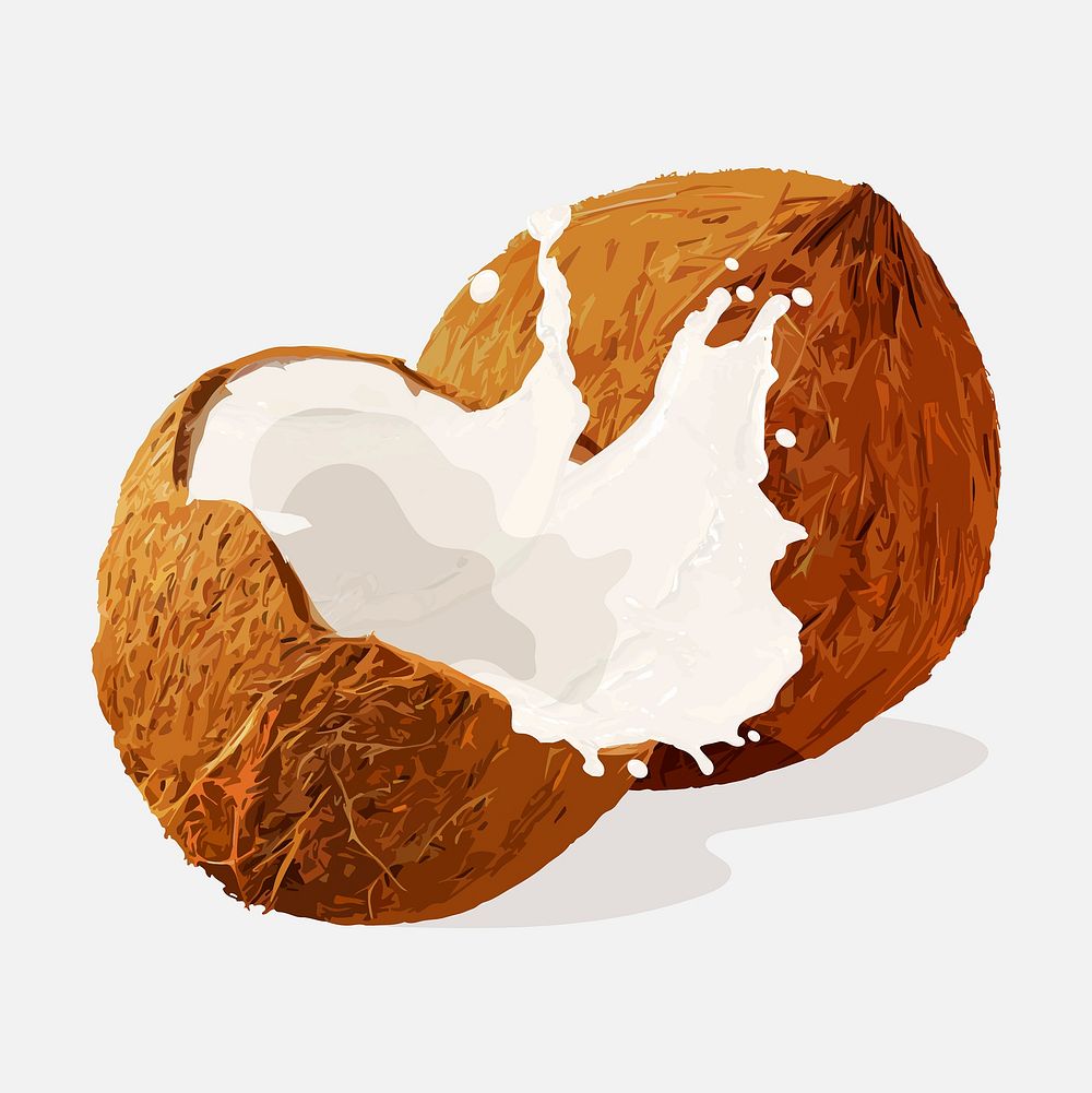 Coconut splash clipart, fruit illustration design vector