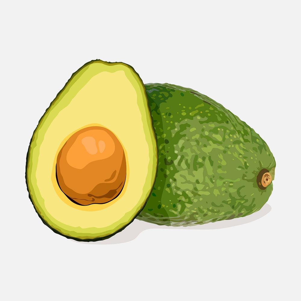half cut avocado clipart, fruit illustration design psd