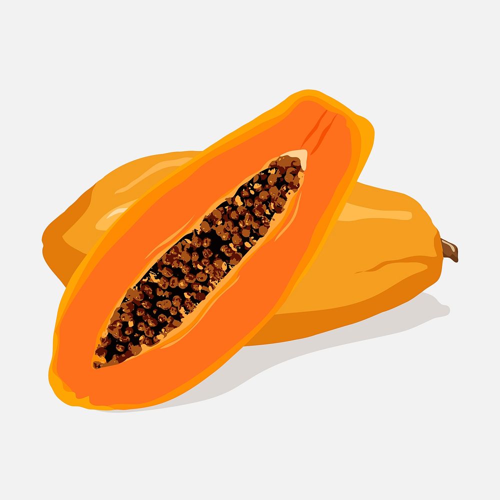 Papaya half cut clipart, fruit illustration design psd