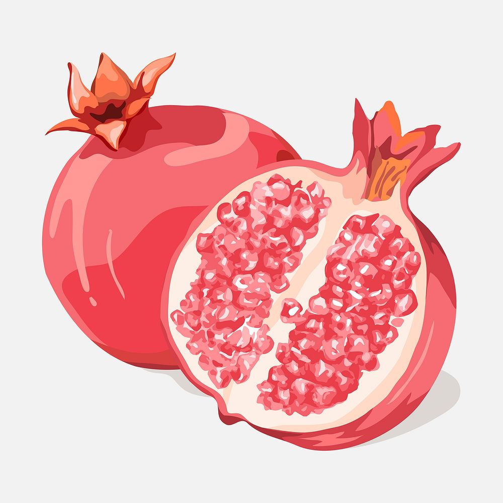 Pomegranate clipart, fruit illustration design psd