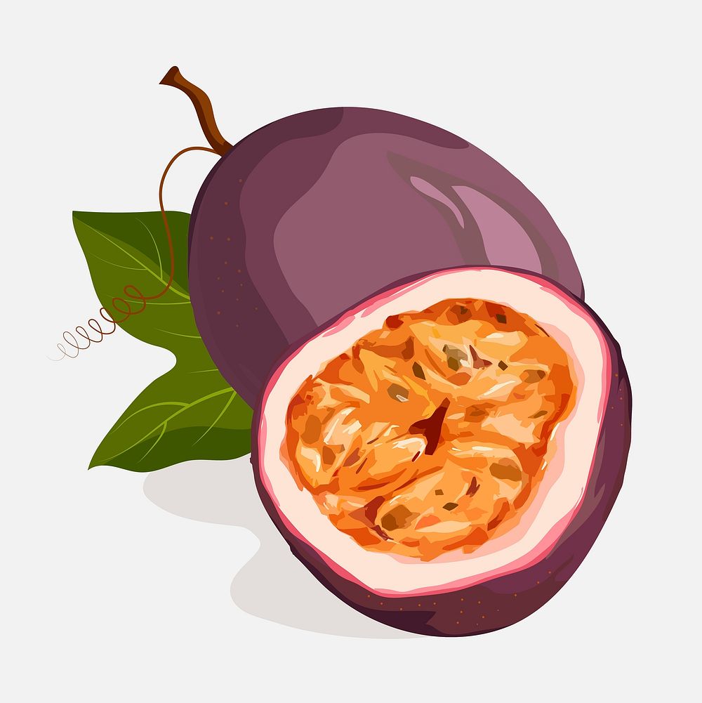 Passion fruit clipart, illustration design vector