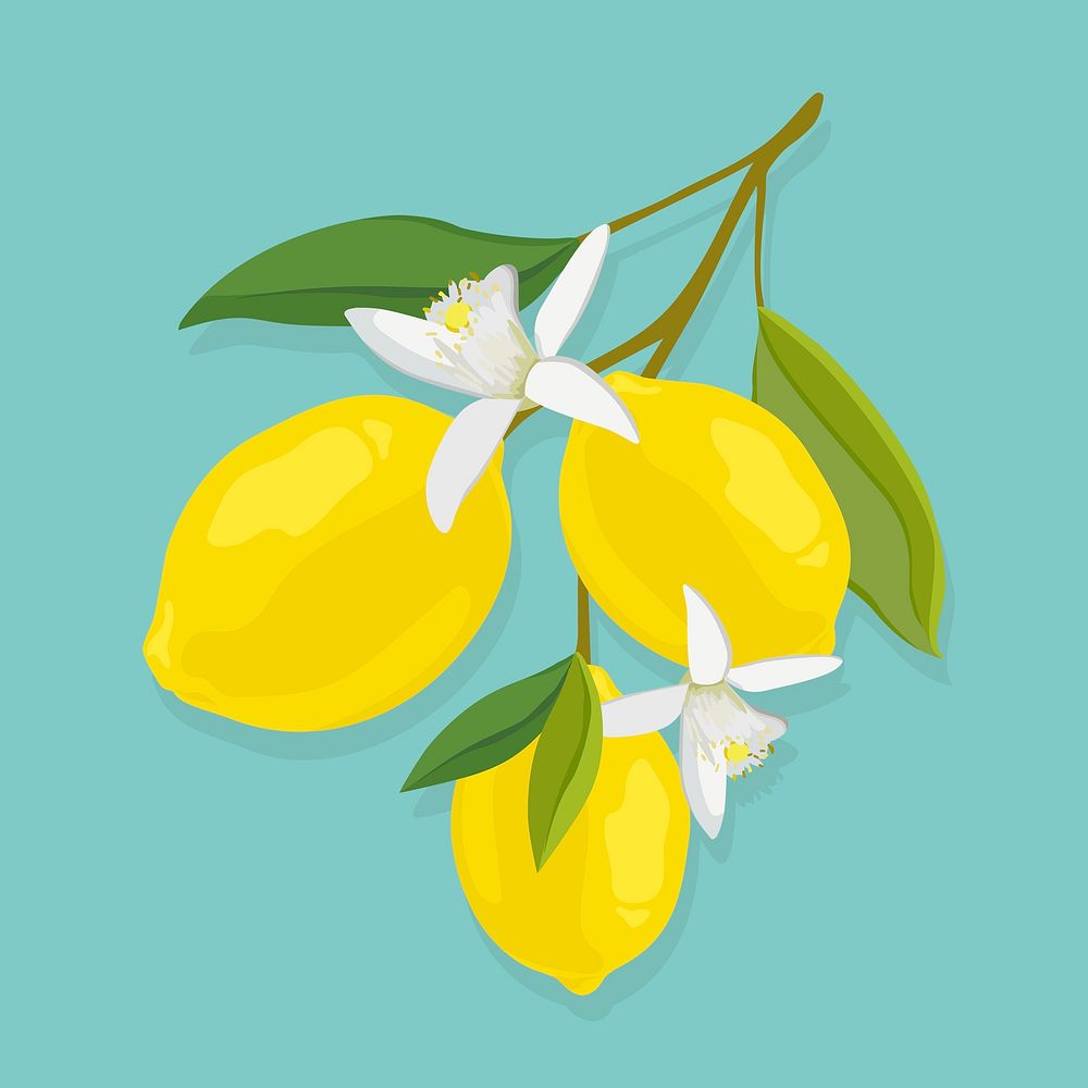 Lemon clipart, fruit illustration design psd