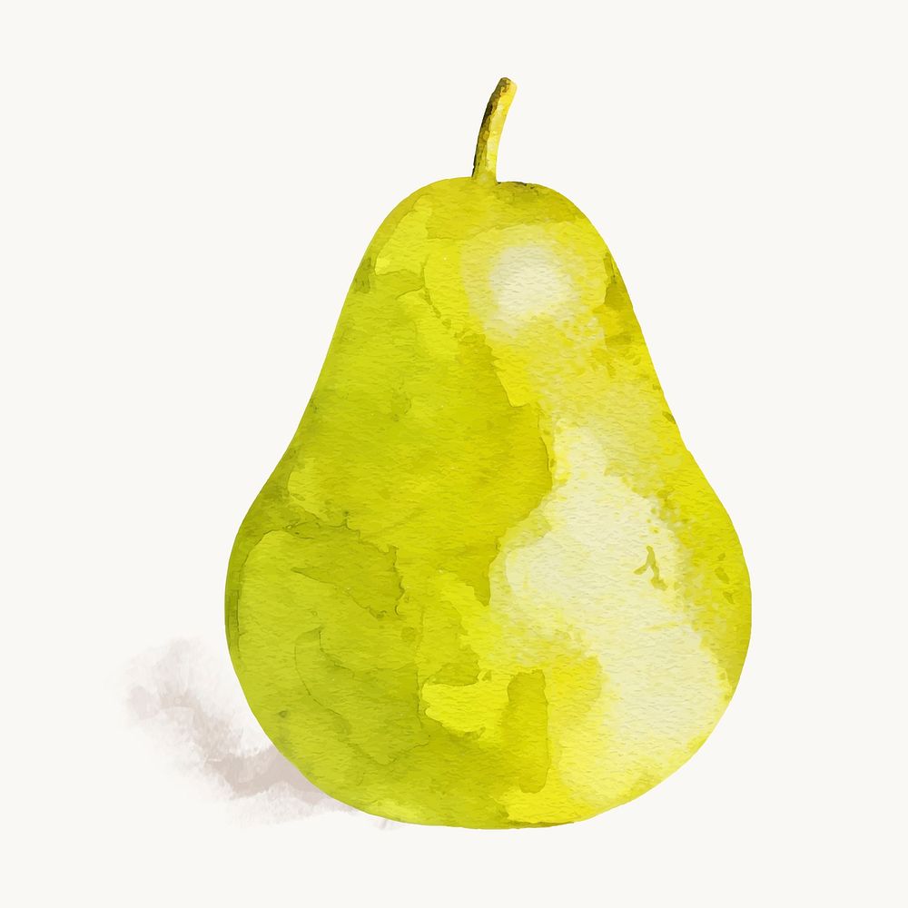Watercolor pear clipart, fruit illustration vector art 