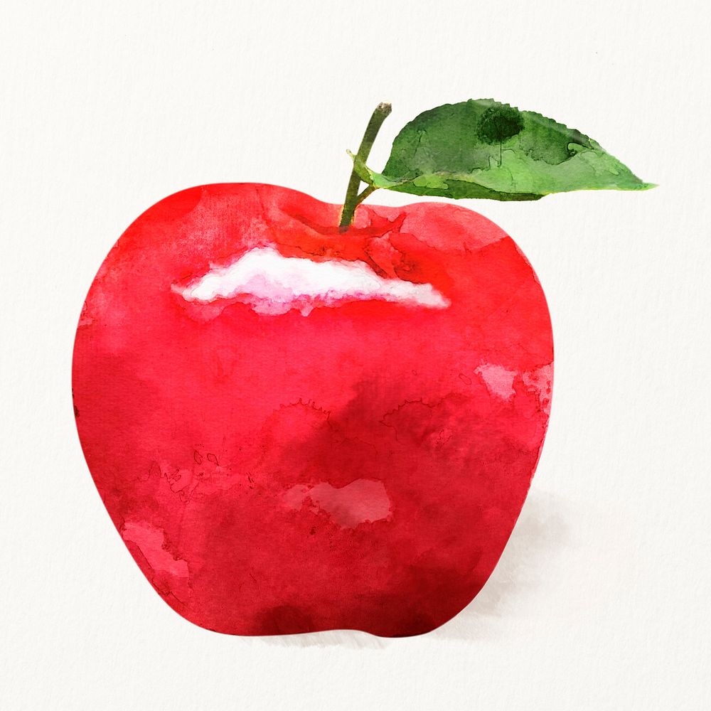 Watercolor red apple illustration, fruit drawing graphic