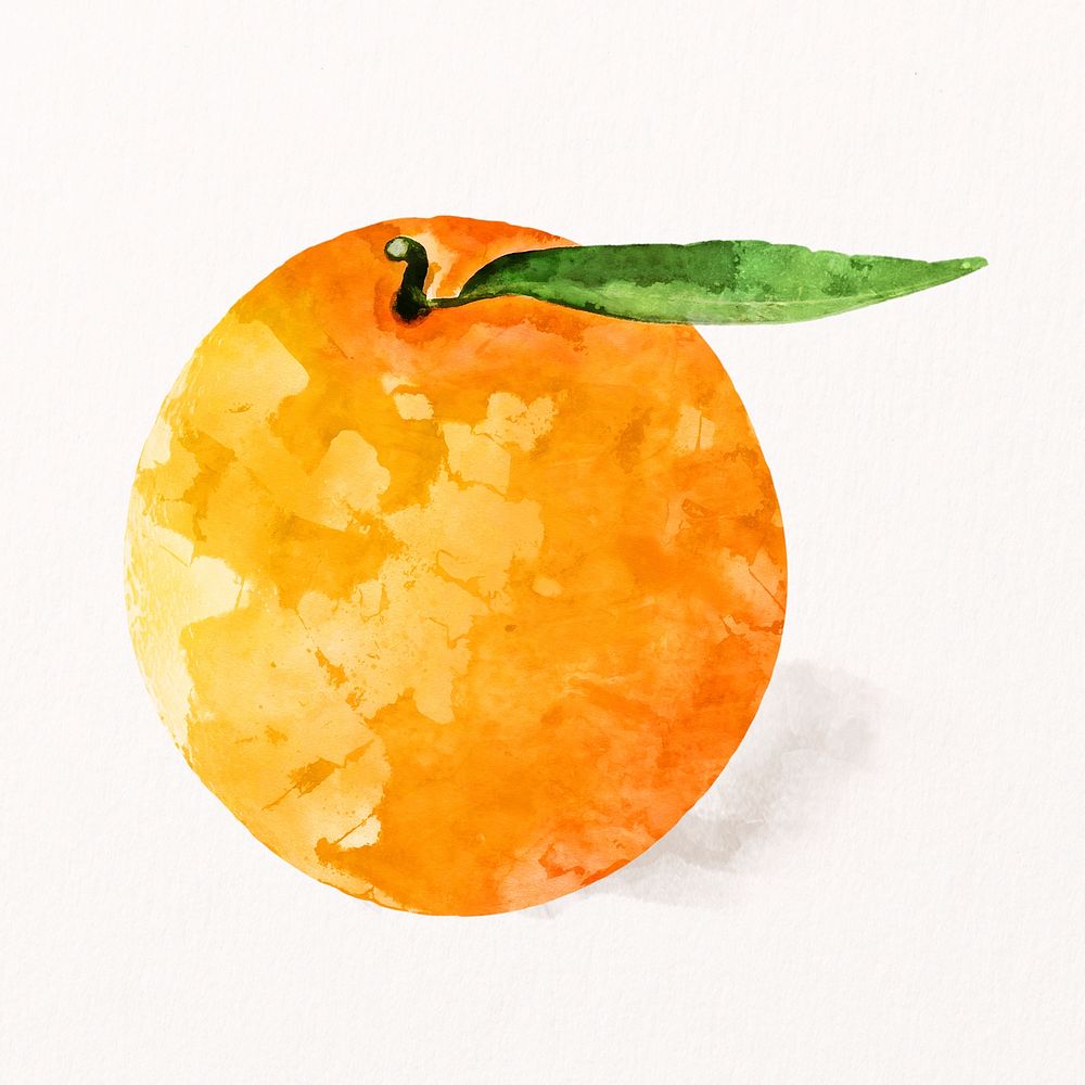 Watercolor mandarin orange clipart, fruit illustration psd
