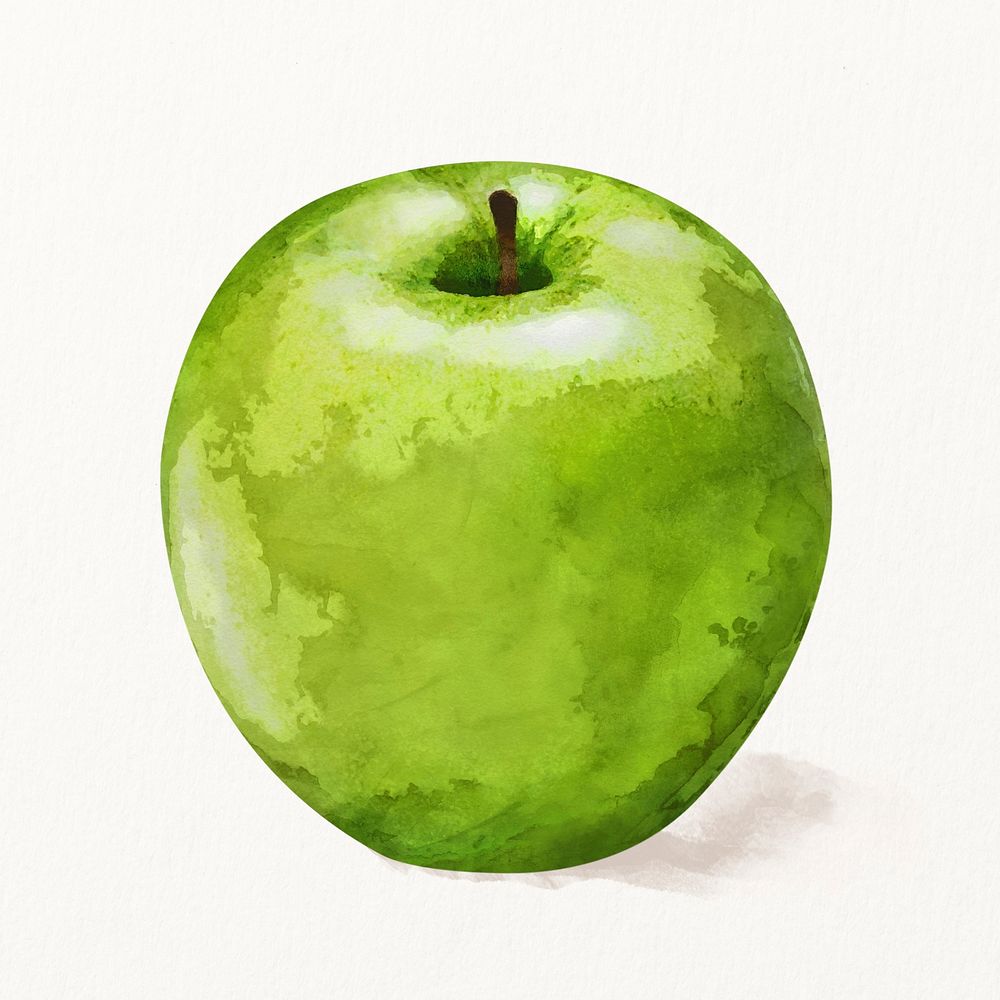 Watercolor green apple illustration, diet fruit drawing graphic