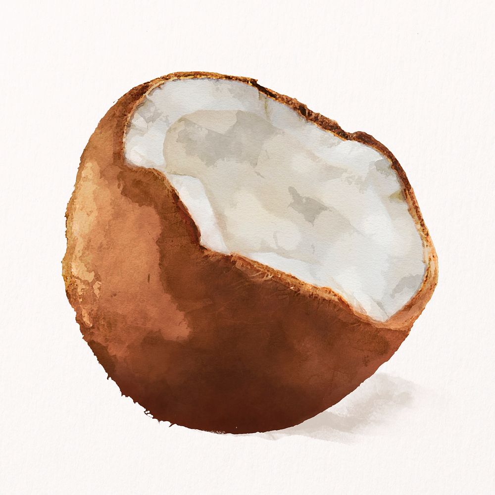Watercolor coconut clipart, fruit illustration psd