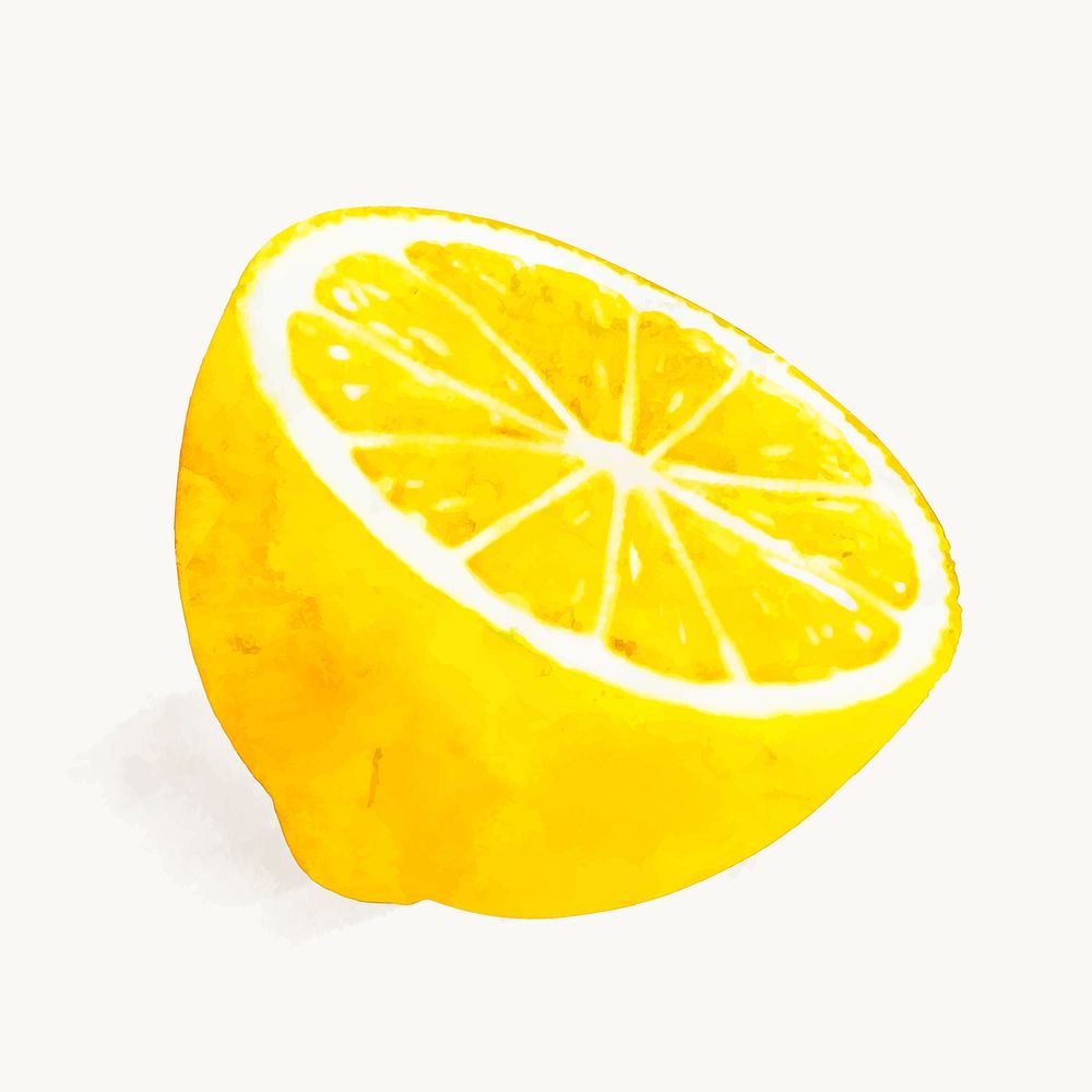 Watercolor lemon clipart, fruit illustration vector art