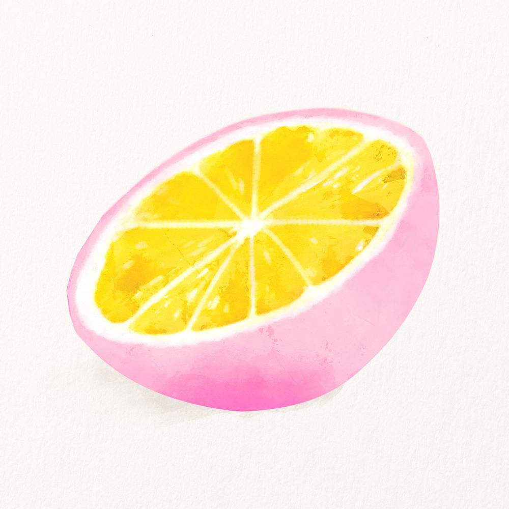 Watercolor pink lemon illustration, fruit drawing graphic