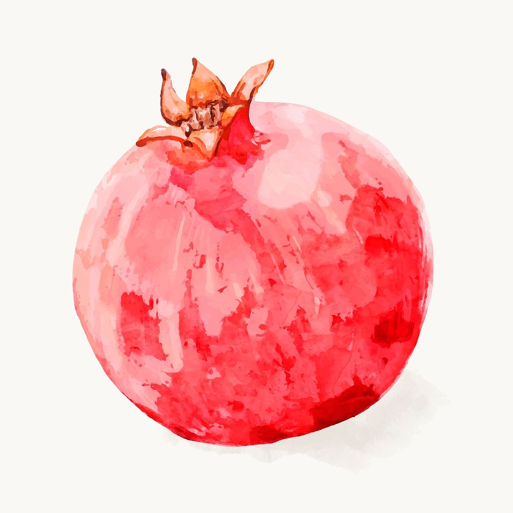 Watercolor pomegranate clipart, fruit illustration vector art