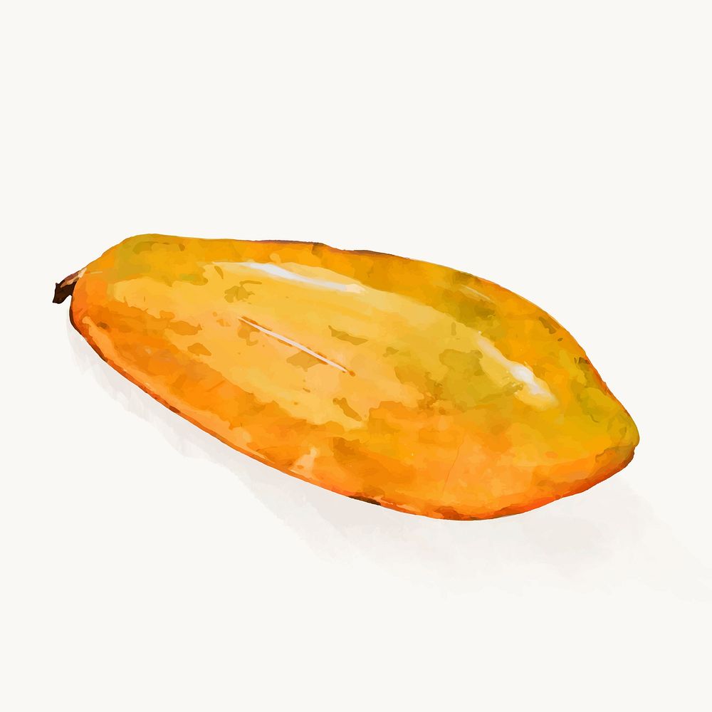 Watercolor papaya clipart, fruit illustration vector art