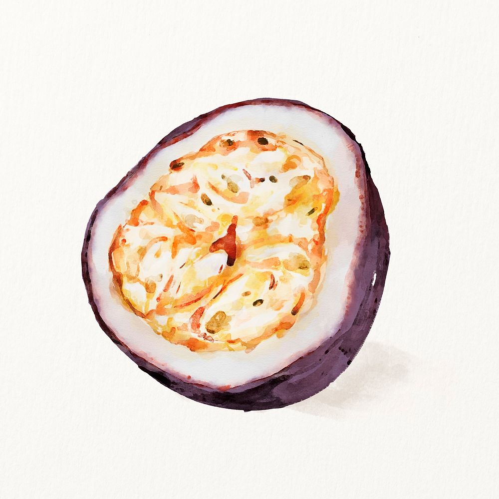 Watercolor passion fruit illustration, fruit drawing graphic