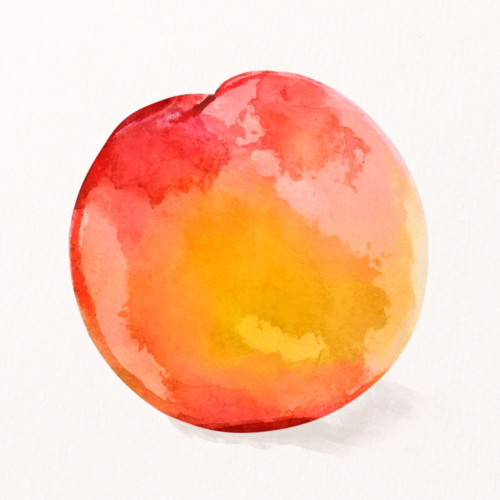 Watercolor peach clipart, fruit illustration psd