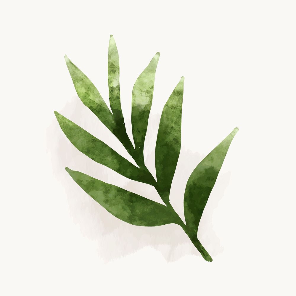 Watercolor sage illustration, herb drawing | Premium Vector ...