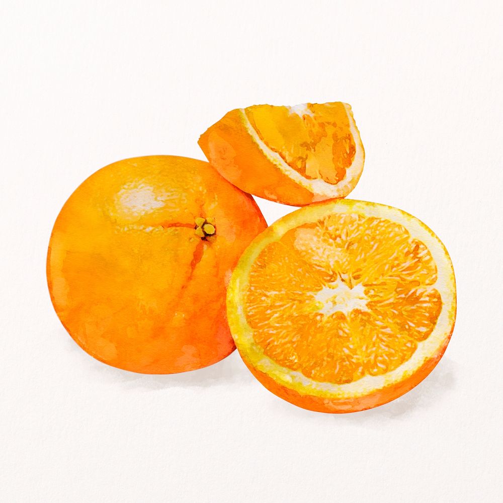 Watercolor mandarin oranges clipart, fruit illustration psd