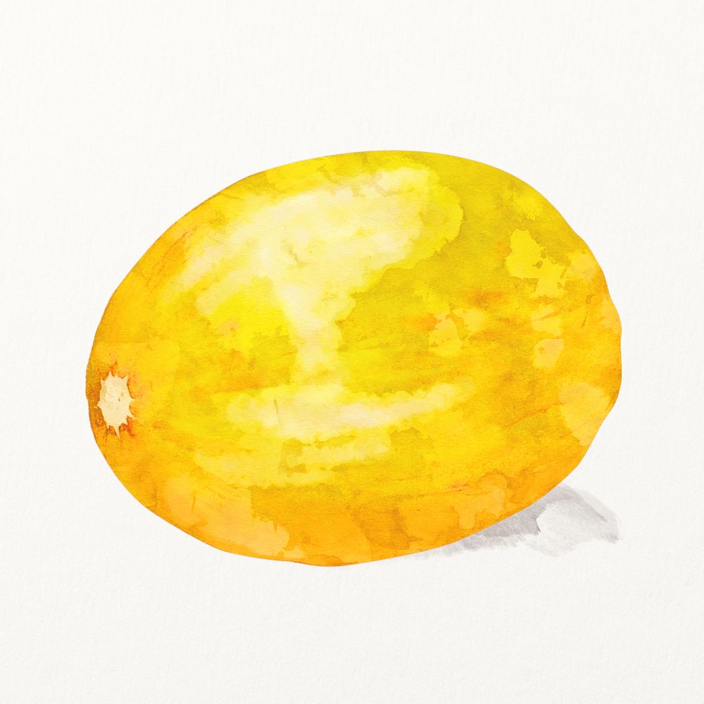Yellow melon clipart, watercolor fruit