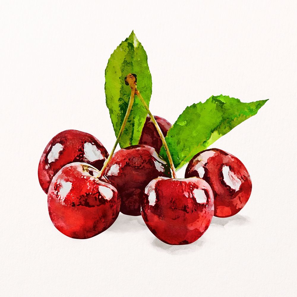 Red cherry sticker, watercolor fruit psd