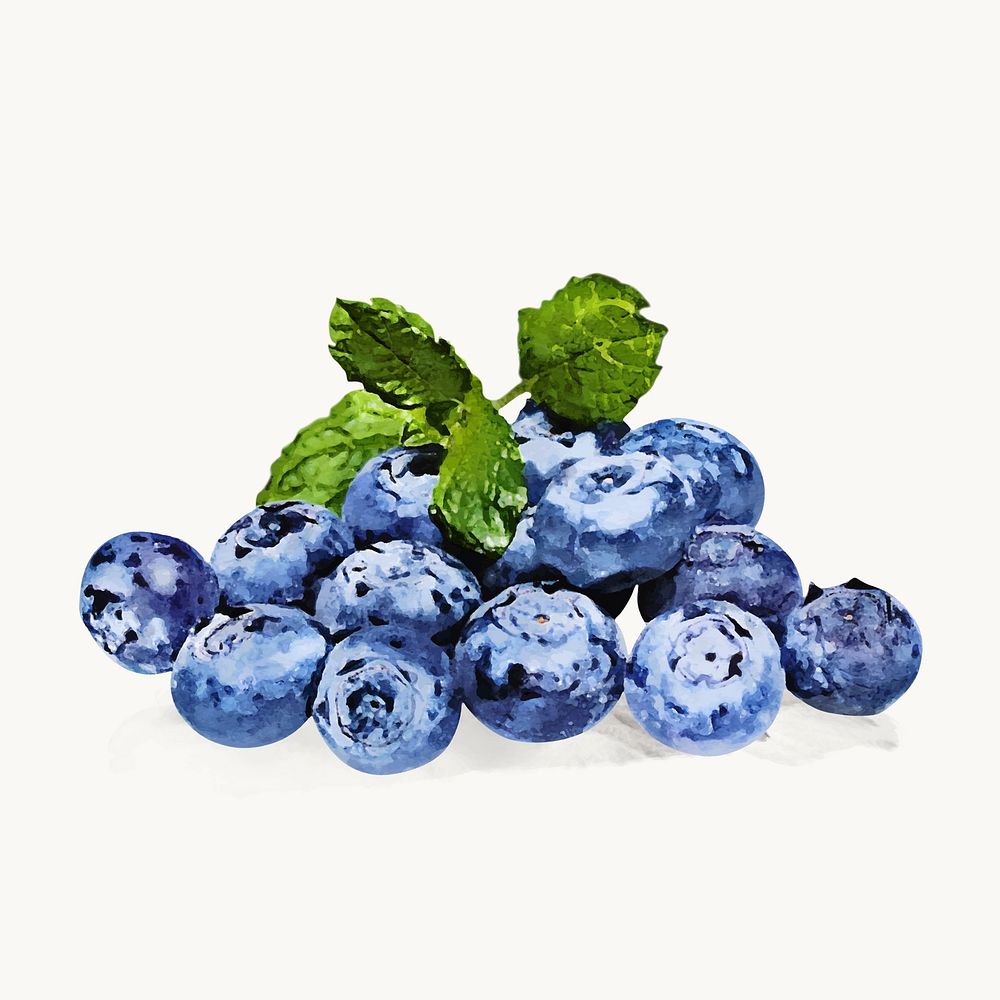 Watercolor blueberry sticker, antioxidant fruit vector