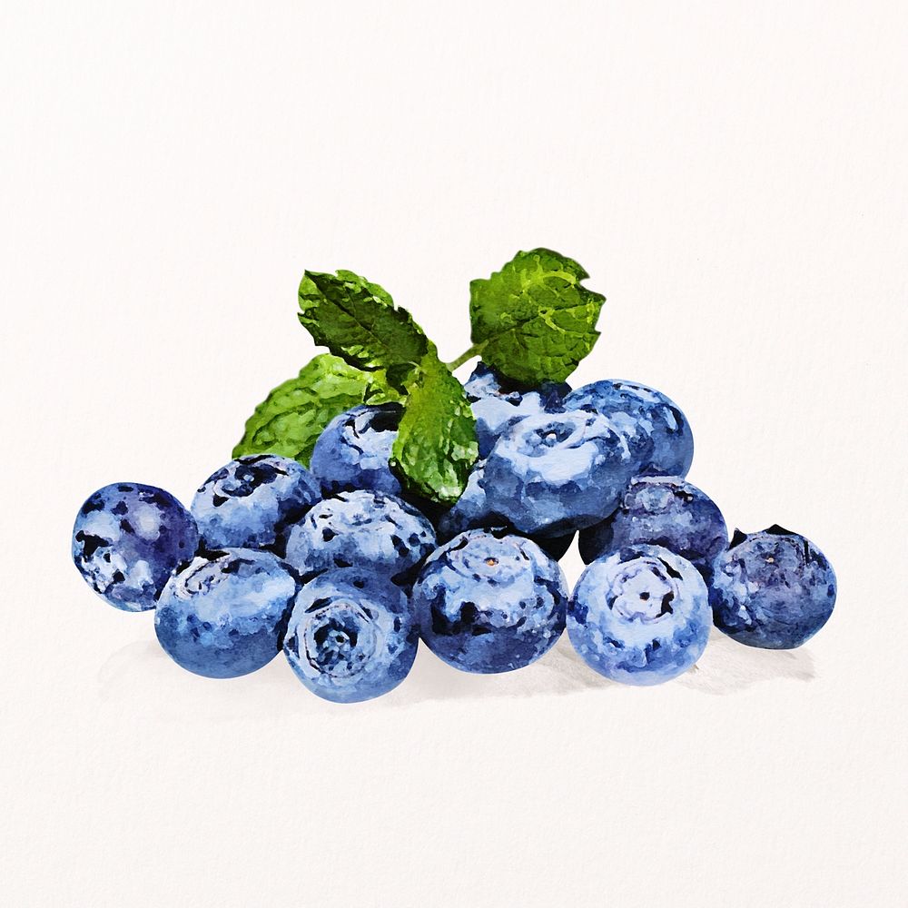 Watercolor blueberry sticker, antioxidant fruit psd