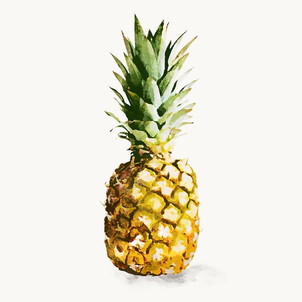 Watercolor pineapple sticker, tropical fruit vector