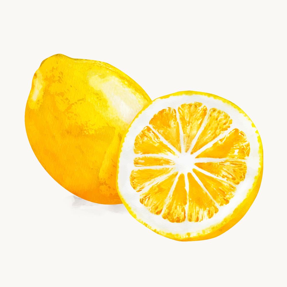 Watercolor lemon clipart, fruit illustration vector art