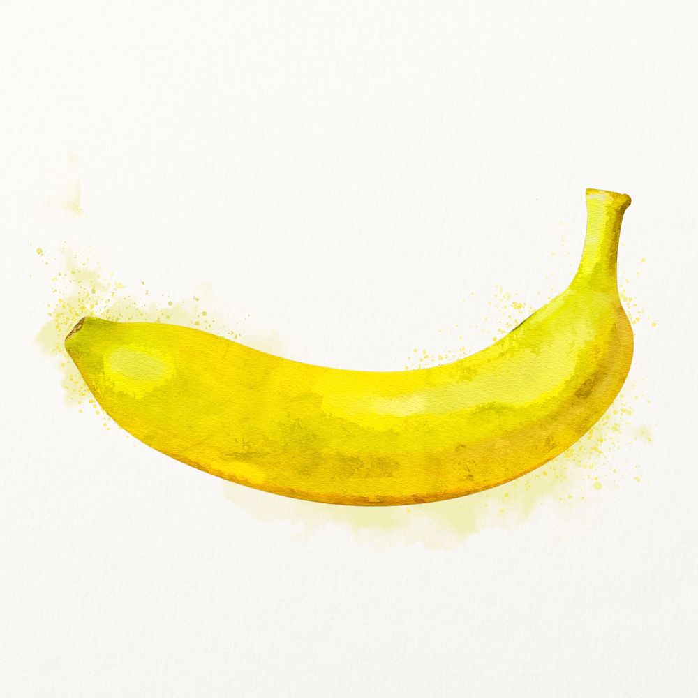 Watercolor banana illustration, fruit drawing graphic