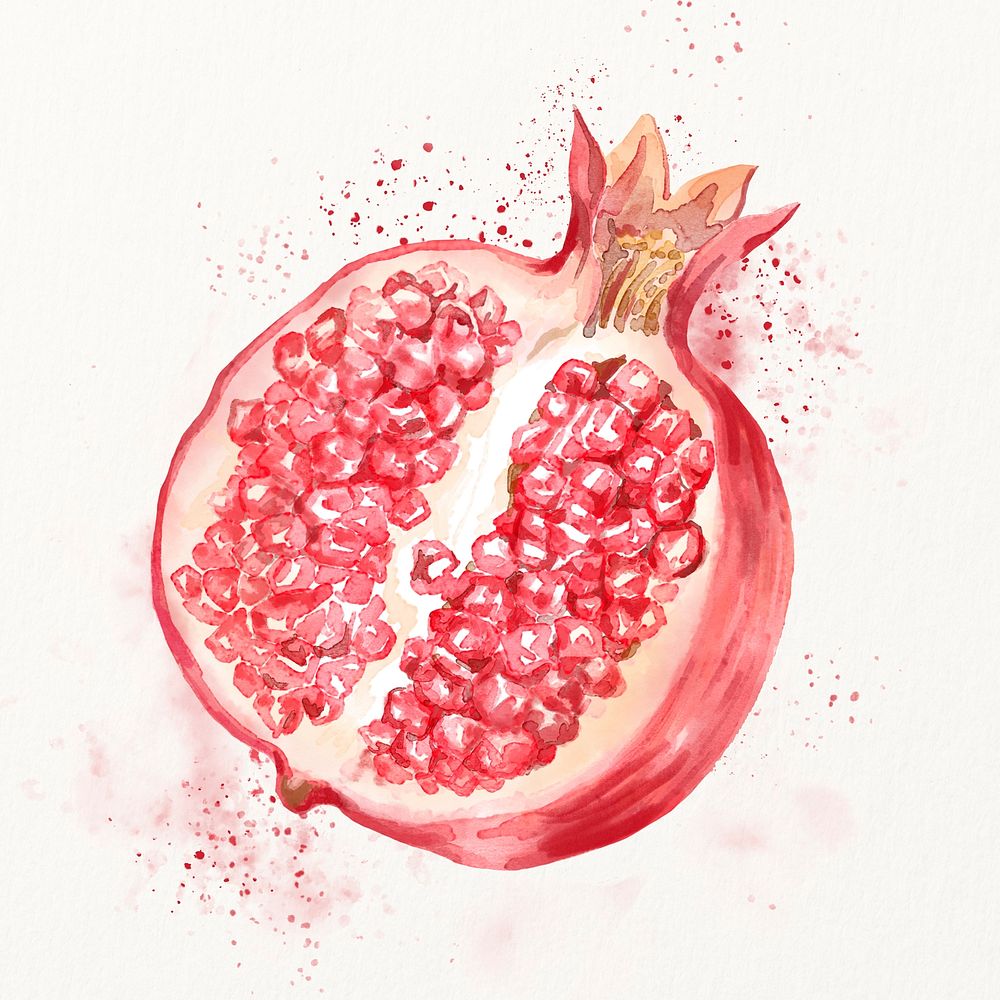 Watercolor pomegranate illustration, fruit drawing graphic