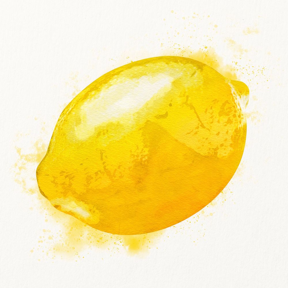 Watercolor lemon illustration, fruit drawing graphic