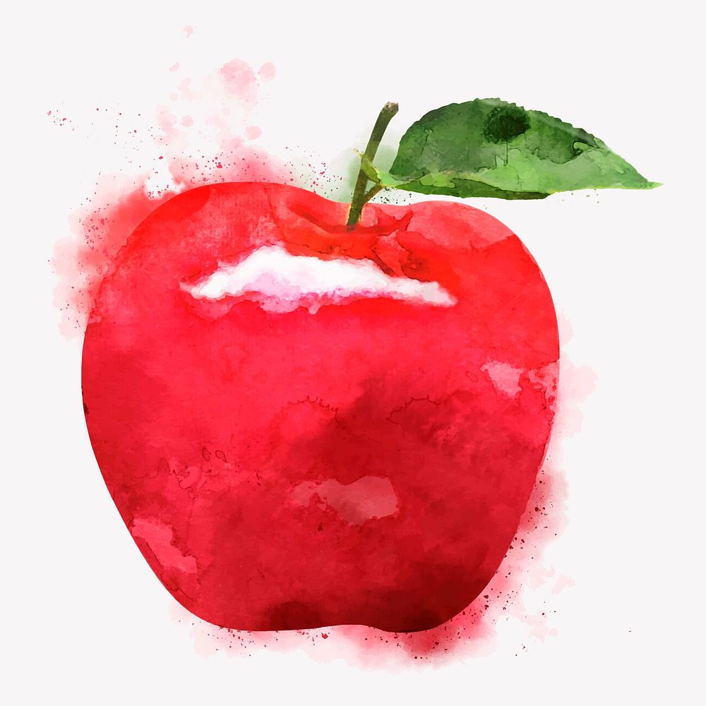 Watercolor red apple clipart, fruit illustration vector art