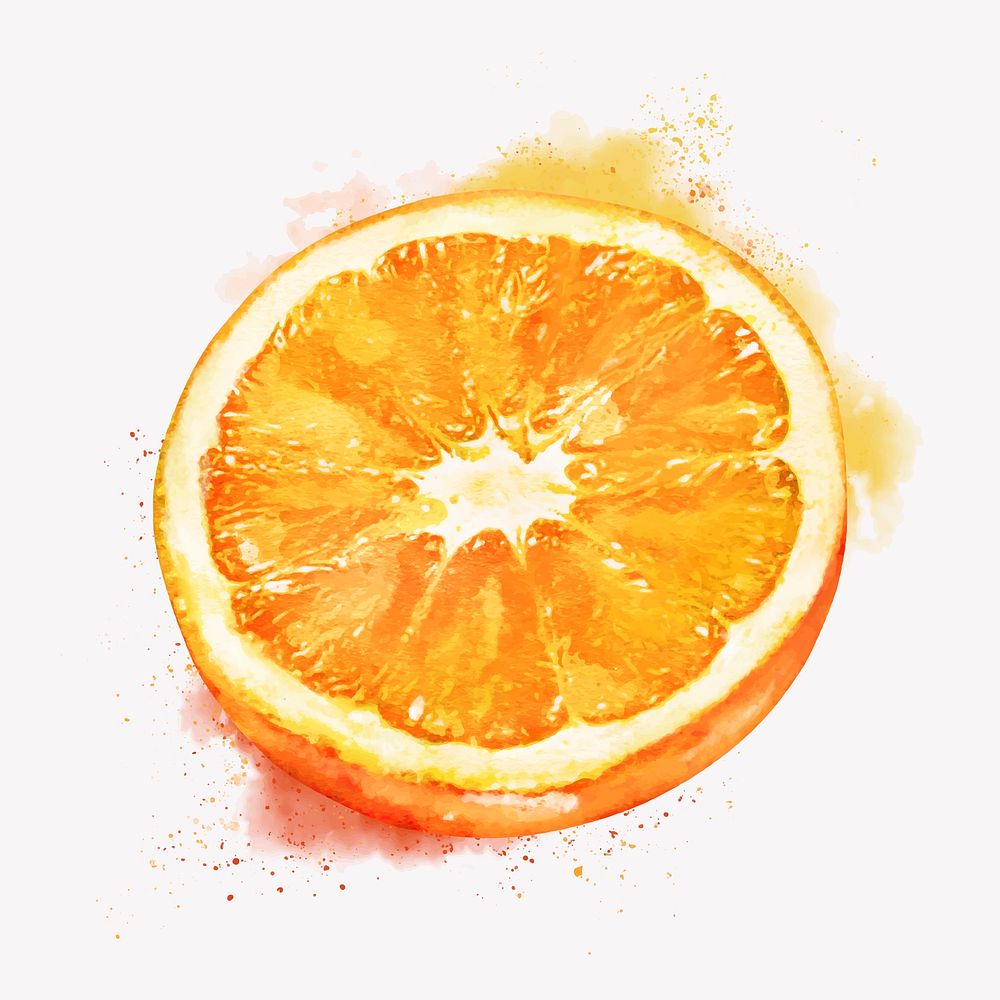 Watercolor orange clipart, fruit illustration vector art
