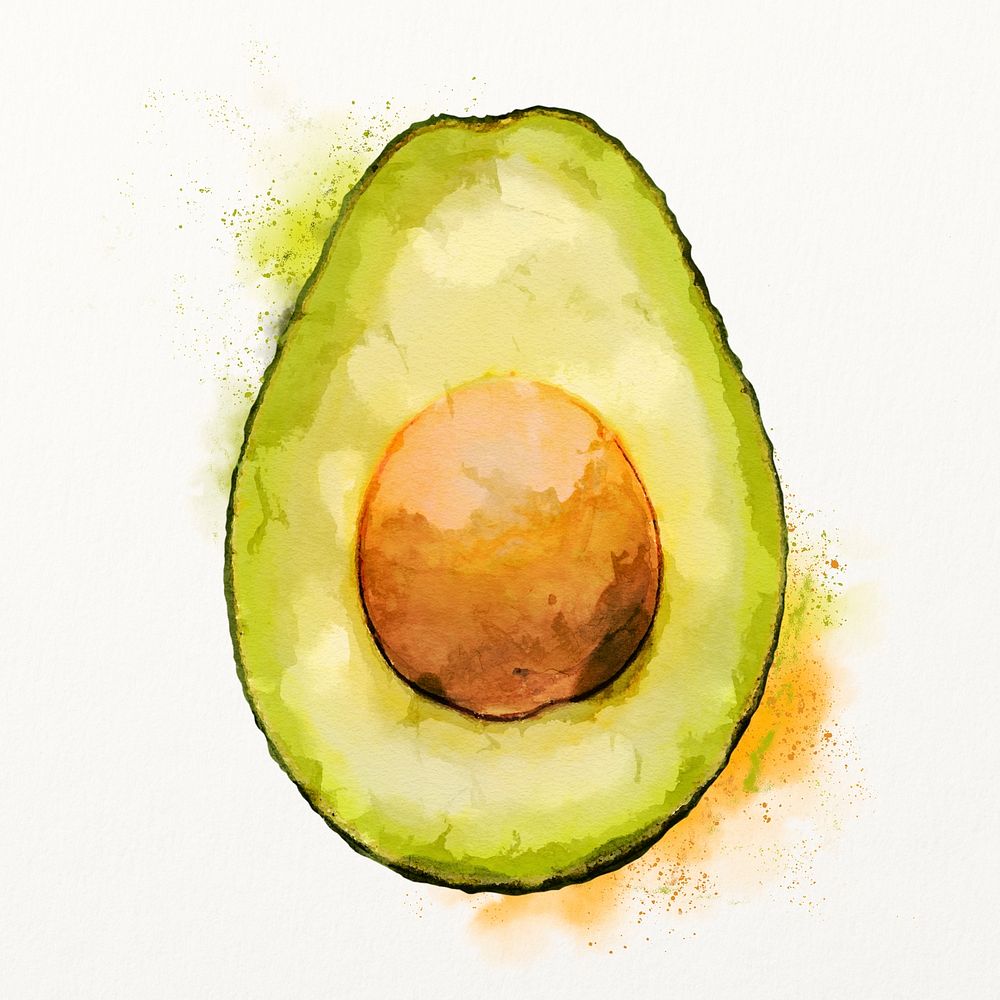 Watercolor avocado illustration, fruit drawing graphic