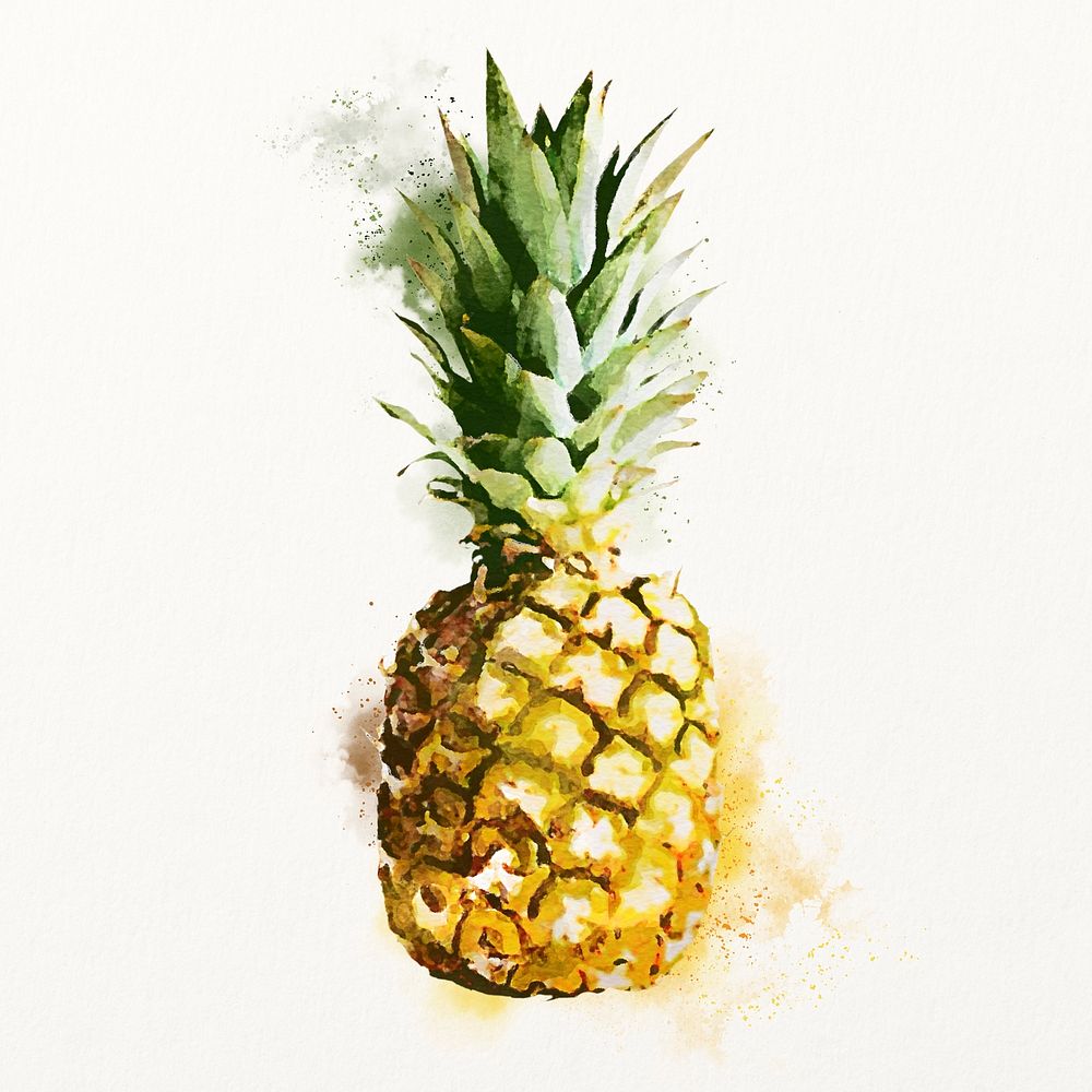 Watercolor pineapple clipart, tropical fruit