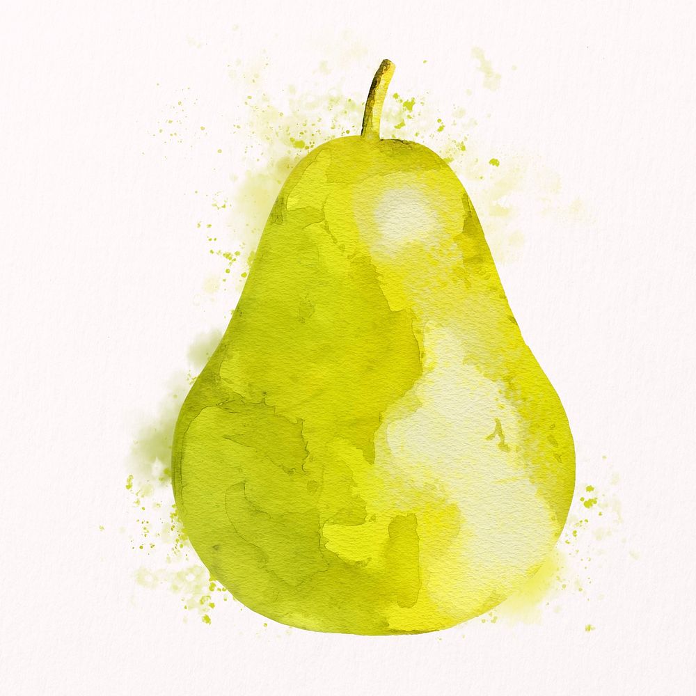 Watercolor pear illustration, fruit drawing graphic