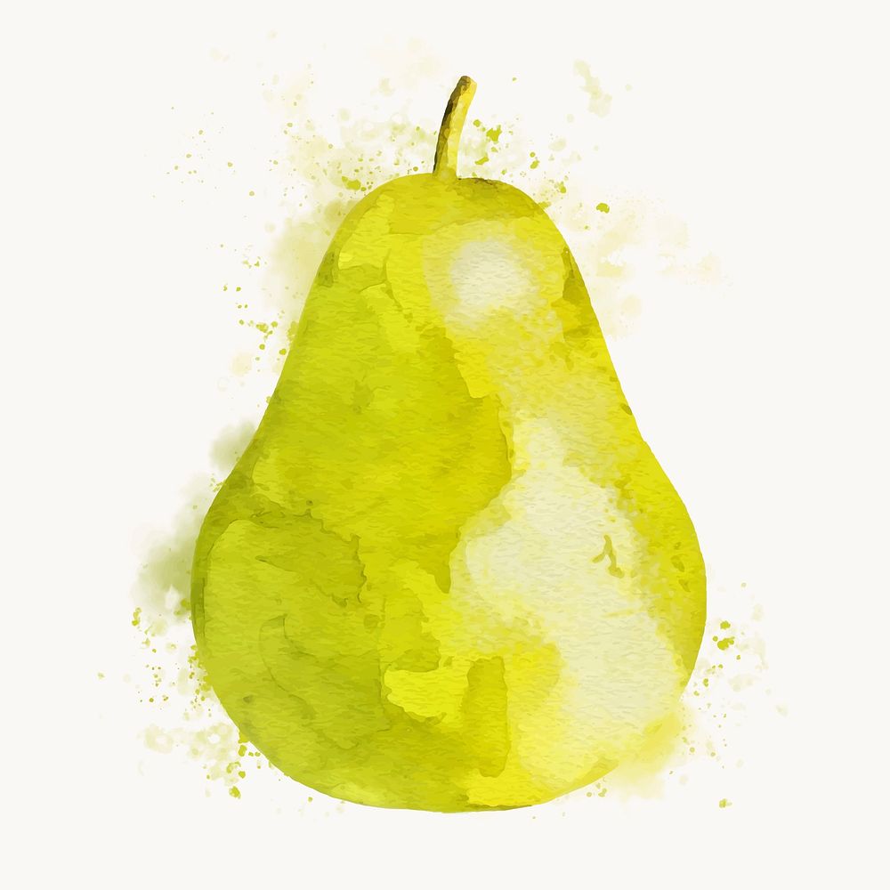 Watercolor pear clipart, fruit illustration vector art 