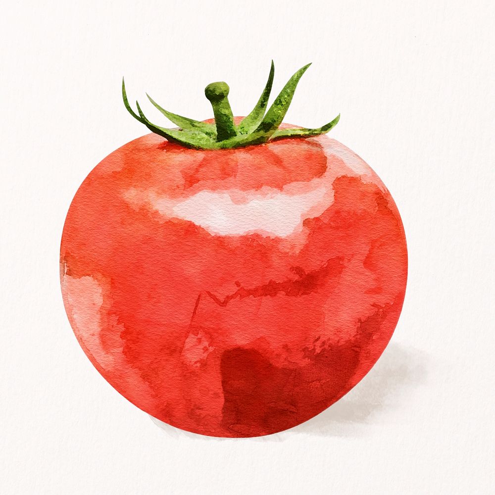 Watercolor tomato clipart, vegetable illustration psd