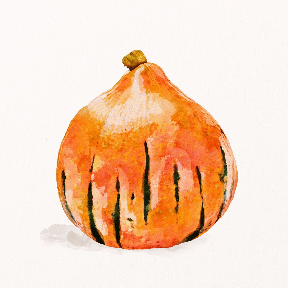Watercolor onion clipart, vegetable illustration psd