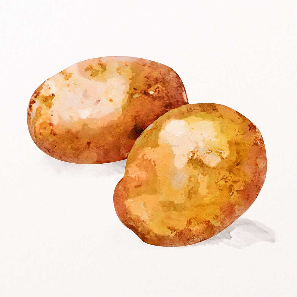 Watercolor potatoes clipart, vegetable illustration psd