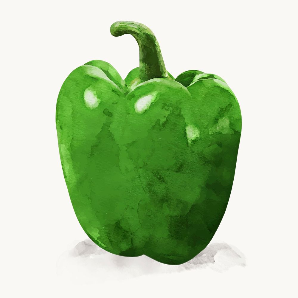 Watercolor bell pepper clipart, vegetable illustration vector art
