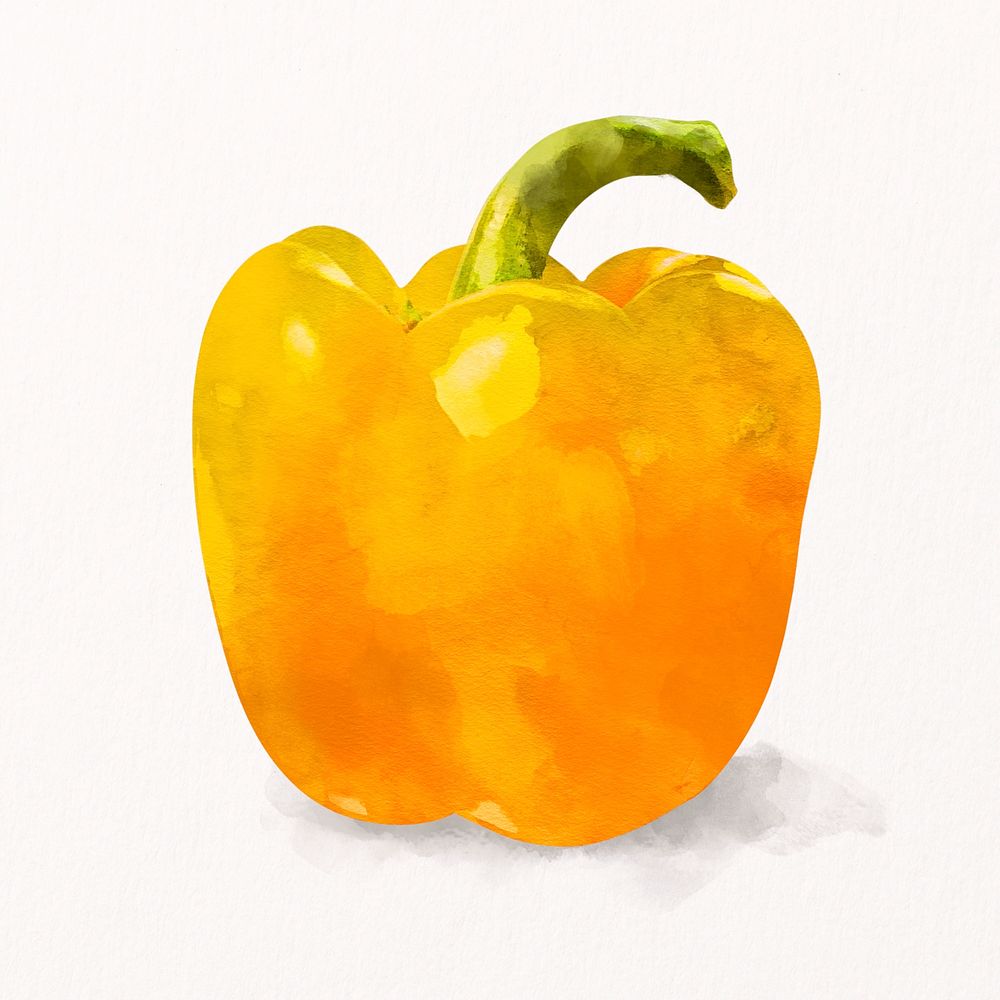 Watercolor bell pepper clipart, vegetable illustration psd