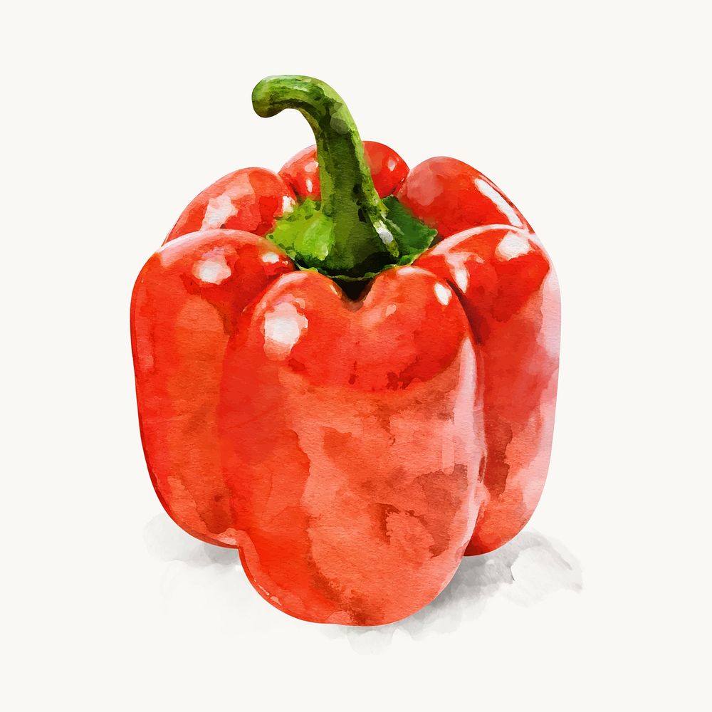 Watercolor bell pepper clipart, vegetable illustration vector art