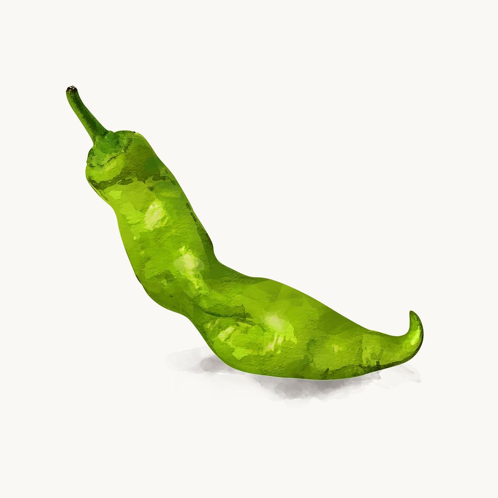 Watercolor green chili clipart, vegetable illustration vector art