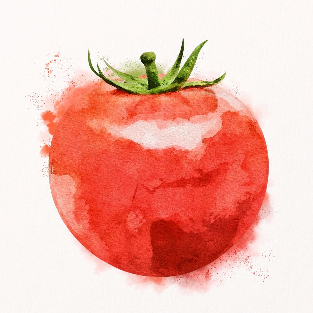 Watercolor tomato clipart, vegetable illustration psd
