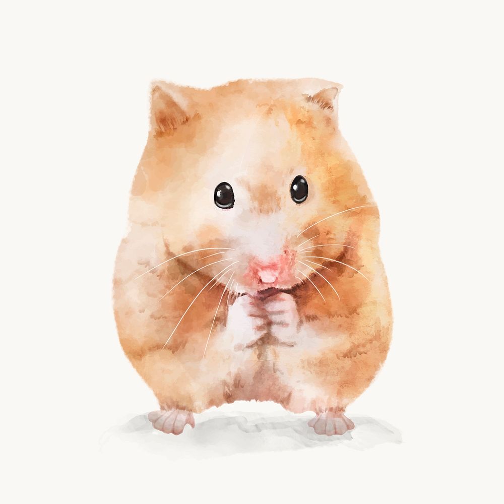 Hamster watercolor illustration, animal design vector