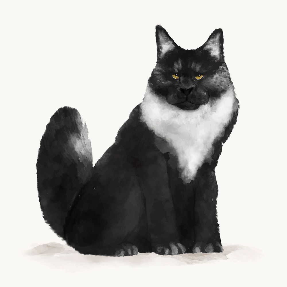 Angora cat watercolor illustration, animal design vector
