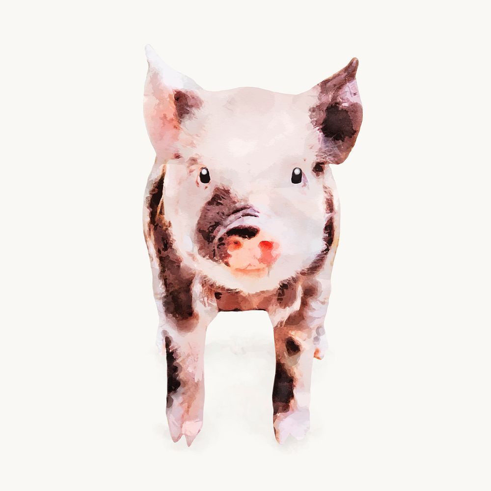 Piglet watercolor illustration, animal design vector