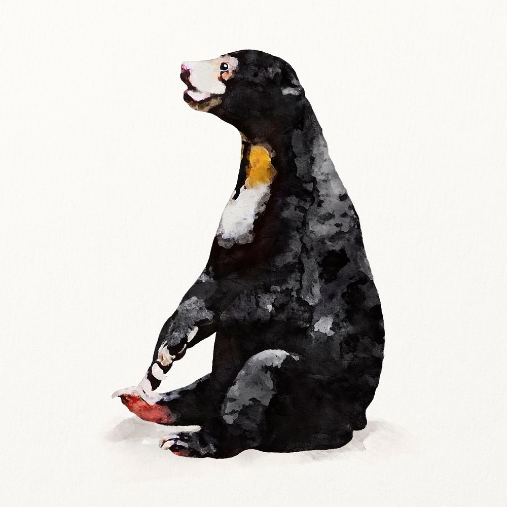 Black bear watercolor illustration, cute animal design